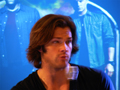 sat_jared_35